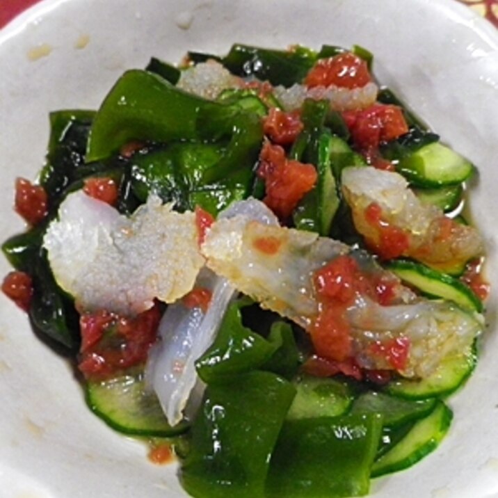 ワカメくらげきゅうりの梅サラダ レシピ 作り方 By Bapaksan 楽天レシピ ワカメくらげきゅうりの梅サラダ レシピ 作り方 By Bapaksan 楽天レシピ